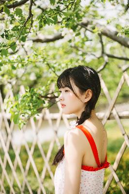 纵有疾风起电视剧免费完整版观看